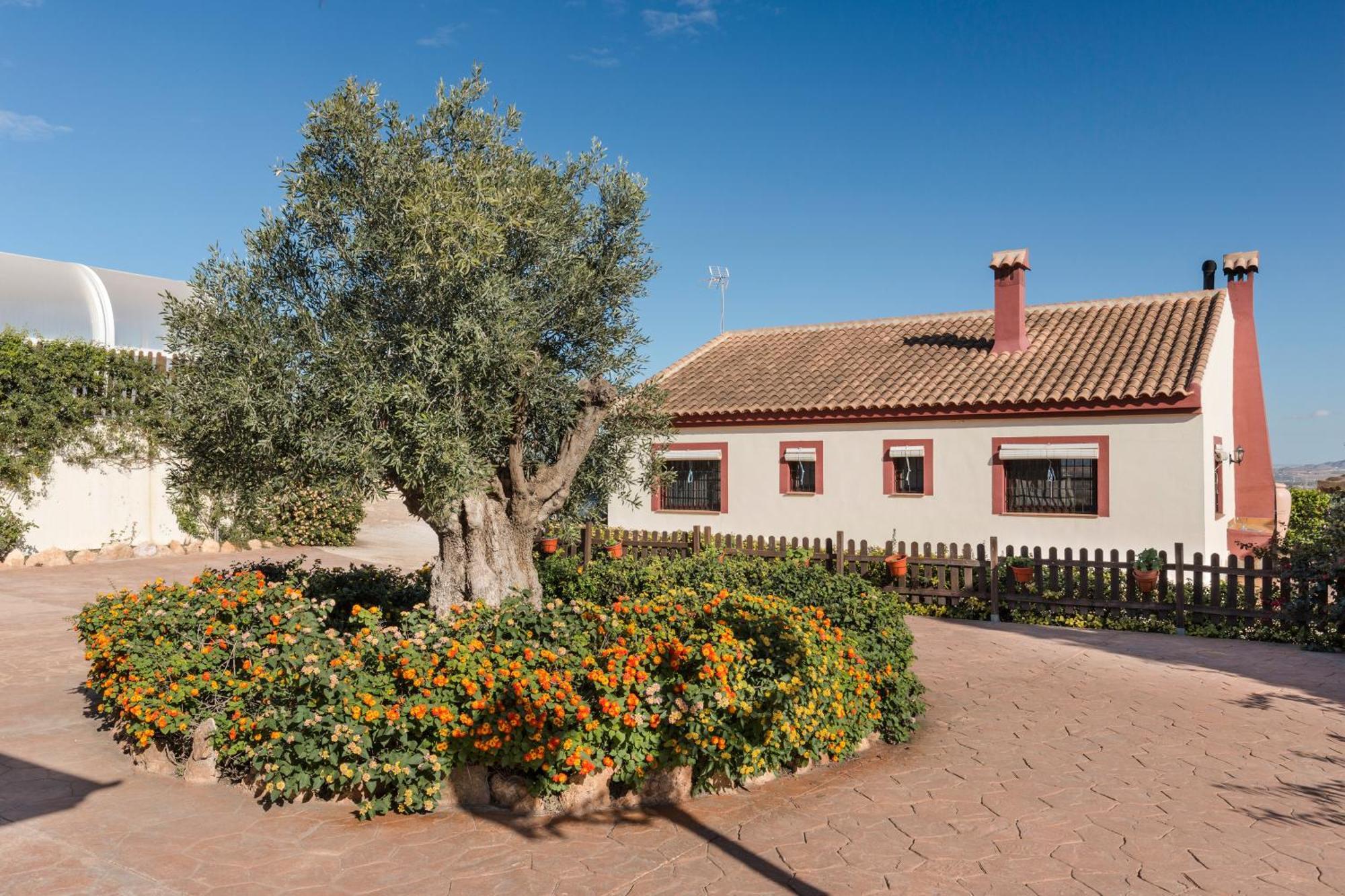 Finca Liarte Murcia Exterior foto